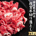 【ふるさと納税】中山牧場 佐賀牛切り落とし(1キロ)