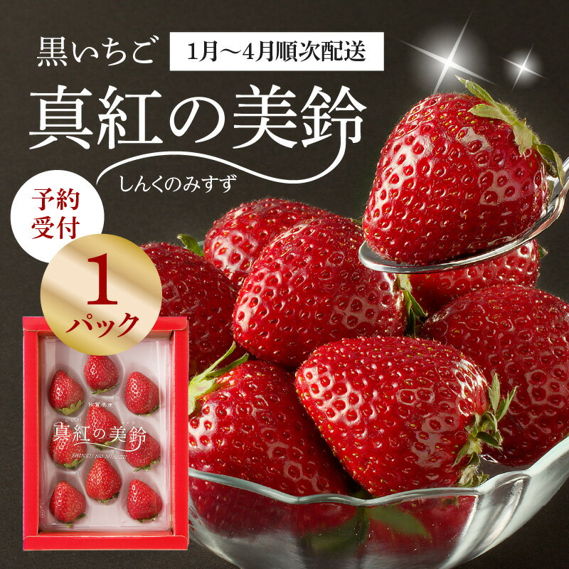 【ふるさと納税】★予約受付★杉山いちご農園【1月〜5月 順次配送】希少品種!黒いちご「真紅の美鈴(しんくのみすず)」/黒いちご 真紅の美鈴 苺 いちご イチゴ 希少 品種 果物 くだもの フルーツ 旬 農産物 国産 佐賀県 玄海町 \レビューキャンペーン実施中/