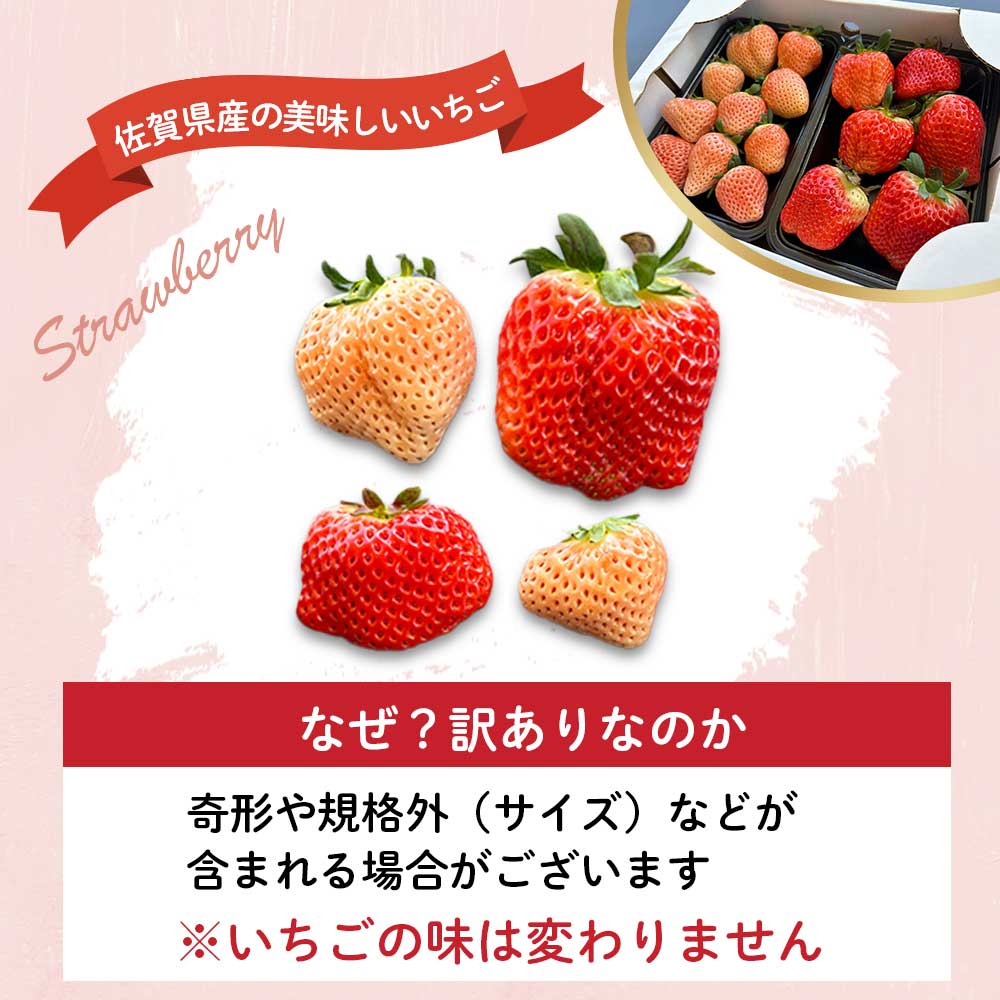 【ふるさと納税】★予約受付★杉山いちご農園【2月〜5月 順次配送】玄海町産いろどりいちご詰め合わせ（家庭用・訳あり）／送料無料 いちご さがほのか 白いちご 淡雪 あわゆき 黒いちご 真紅の美鈴 希少 果物 くだもの フルーツ デザート 食べ比べ 予約受付
