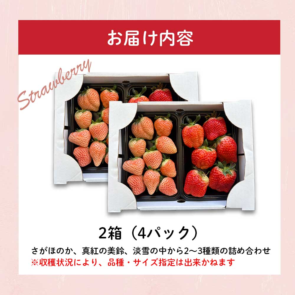【ふるさと納税】★予約受付★杉山いちご農園【2月〜5月 順次配送】玄海町産いろどりいちご詰め合わせ（家庭用・訳あり）／送料無料 いちご さがほのか 白いちご 淡雪 あわゆき 黒いちご 真紅の美鈴 希少 果物 くだもの フルーツ デザート 食べ比べ 予約受付