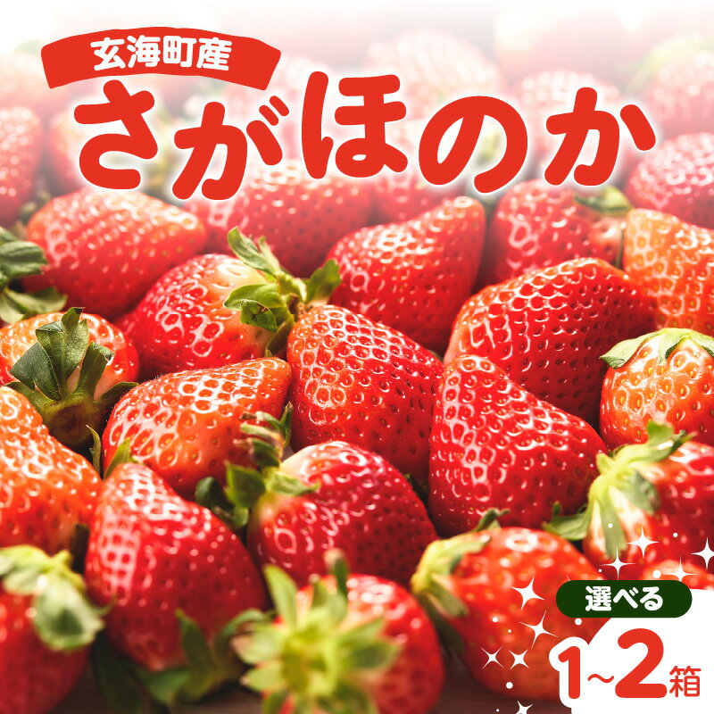 【ふるさと納税】【内容量選べる】〈予約受付〉平川いちご農園 佐賀県玄海町産さがほのか 1箱2パック or 2箱4パック（1月〜4月にお届け..