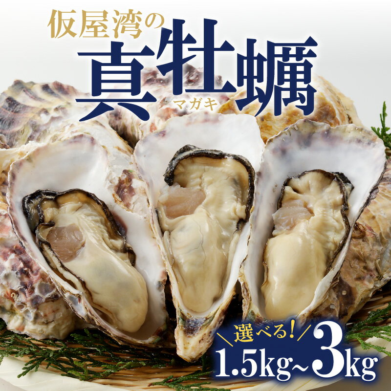 【ふるさと納税】【発送時期・数量選べる】仮屋湾の真牡蠣 1.5kg or 3kg【殻付き】