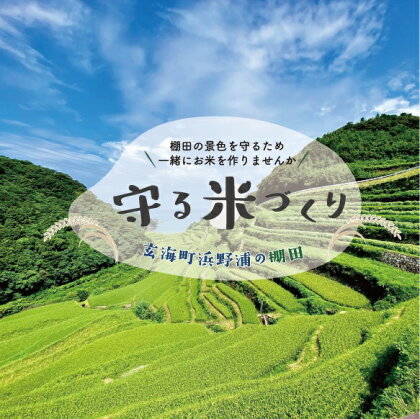 浜野浦の棚田　守る米づくり「守りびと」プラン