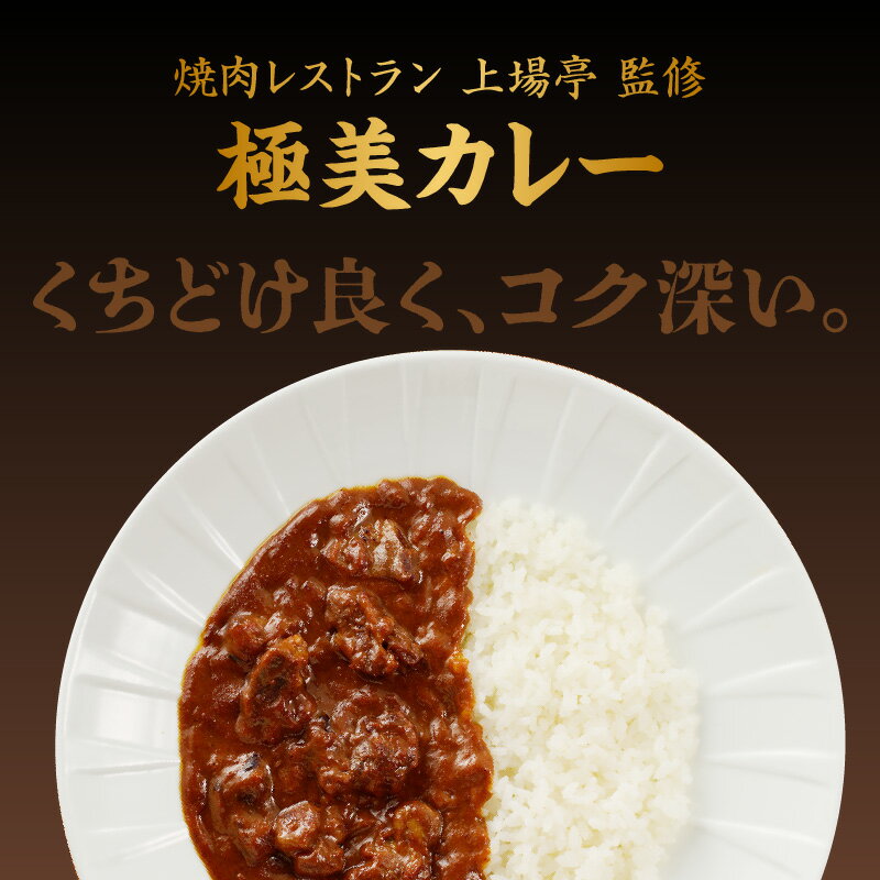 【ふるさと納税】佐賀牛極美カレー（中辛）と佐賀牛ビーフシチュ