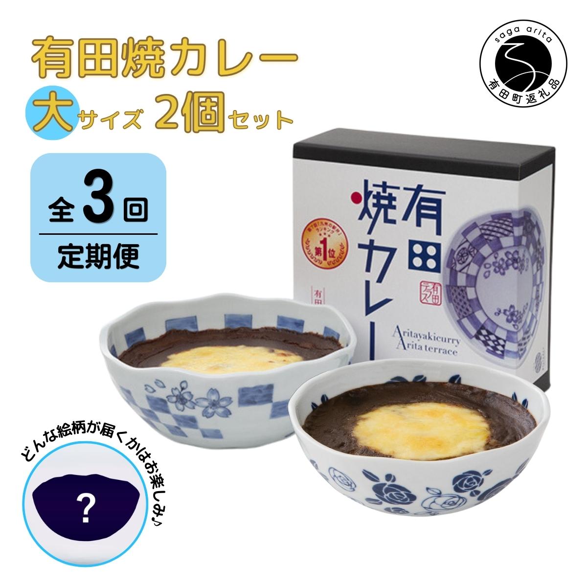 F45-1【ふるさと納税】【3回定期便】有田焼カレー(大)【器いろいろ】2個セット JR九州駅弁グランプリ テレビ番組全国駅弁ランキング1位