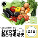 9位! 口コミ数「0件」評価「0」F30-11 【3回定期便】新鮮な地場 野菜・果物 おまかせ詰合せ（ドレッシング付）3回 定期便 JA伊万里