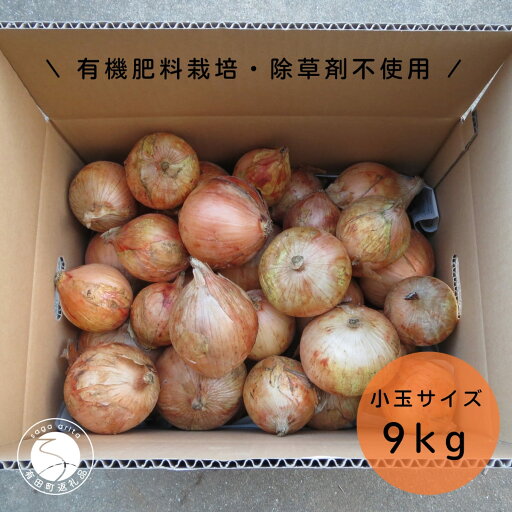 【ふるさと納税】【小玉サイズたまねぎ約9キロ】有機肥料栽培・除草剤不使用 輝ファーマーズ 玉ねぎ 9kg たまねぎ 小ぶり お料理 F12-35 【ふるさと納税】【小玉サイズたまねぎ約9キロ】有機肥料栽培・除草剤不使用 輝ファーマーズ 玉ねぎ 9kg たまねぎ 小ぶり お料理 F12-35