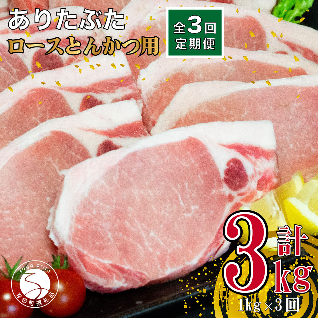 N30-27【ふるさと納税】【3回定期便 総計3kg】ありたぶた ロース とんかつ用 約1kg (1枚約100g×10パッ..