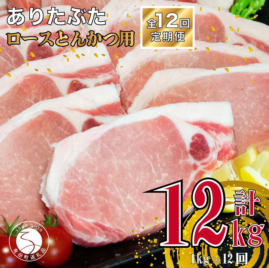 N120-4[12回定期便 総計12kg]ありたぶた ロース とんかつ用 約1kg (1枚約100g×10パック) 12回 定期便 小分け 真空パック 豚肉 120000円