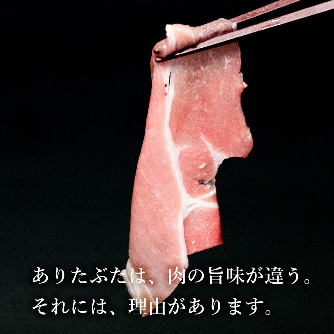 N14-6【ふるさと納税】【人気！豚肉6種セット】ありたぶた バラエティAセット (豚肉6種) 小分け 真空パック 豚肉 ロース バラ ウインナー ソーセージ ハンバーグ