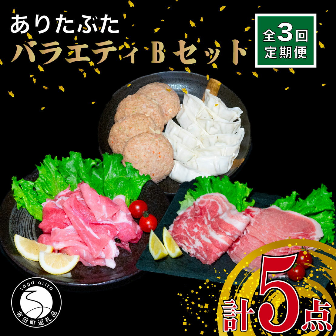 [3回定期便 豚肉5種セット]ありたぶた バラエティBセット (豚肉5種) 3回 定期便 小分け 真空パック 豚肉 ロース バラ モモ もも 赤身 ハンバーグ 餃子