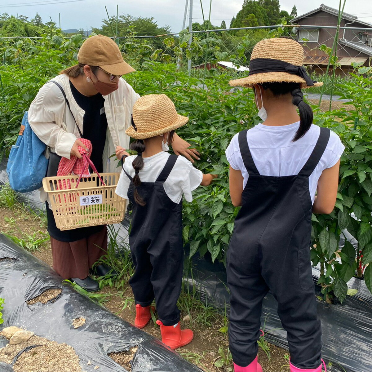 【ふるさと納税】大吉村 ピザ作り+アグリ体験チケット 5名様 V90-1 3