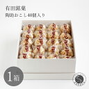【ふるさと納税】有田銘菓 陶助おこし 40個入り【寿食品】 前田陶助堂 餅おこし やわらかい しょうが風味 手作り 伝統菓子 ギフト 和菓子 14000円 F14-6