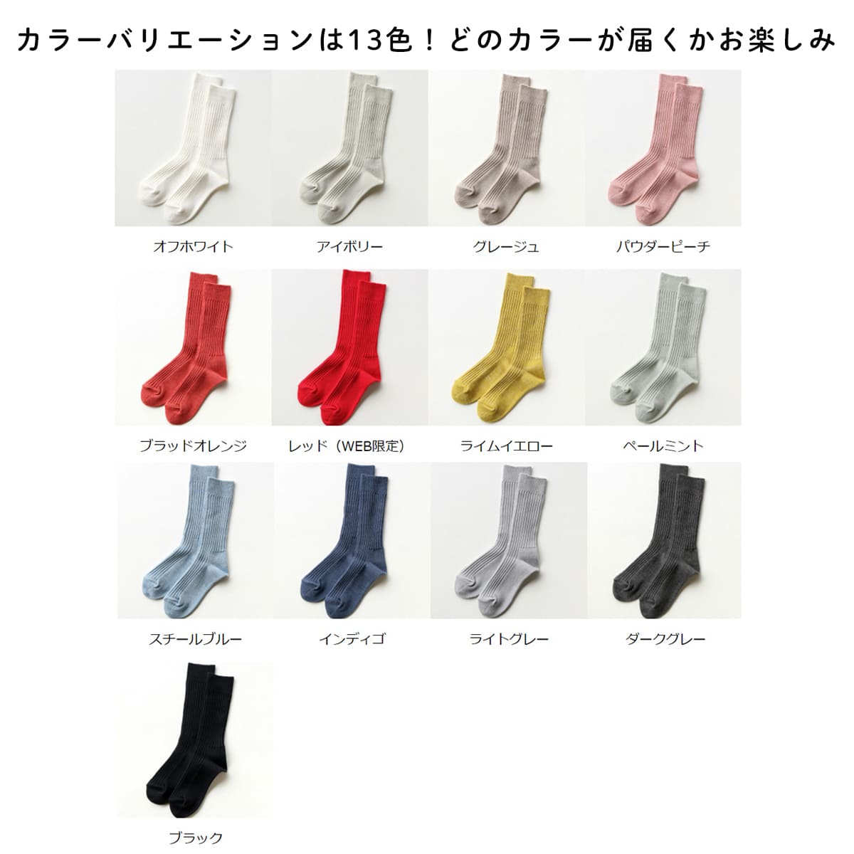 F80-1【ふるさと納税】LUCKY SOCKS 偶数月に届く！靴下定期便 25cm-28cm メンズサイズ