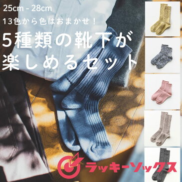 F35-4【ふるさと納税】LUCKY SOCKS 5種類の靴下が楽しめるセット 25cm-28cmメンズサイズ