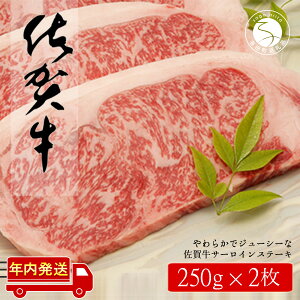 N30-16【ふるさと納税】佐賀牛サーロインステーキ500g（250g×2枚）【やわらかでジューシー！】