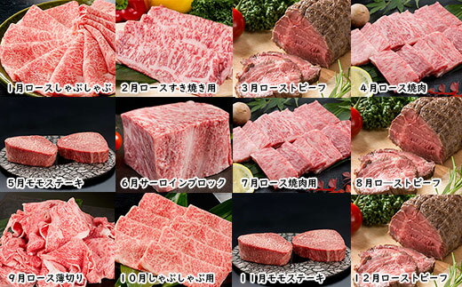 N2000-3【ふるさと納税】毎月お届け！季節の佐賀牛とヒレステーキの定期便【食卓に上質な牛肉を☆彡移ろう季節の楽しみを☆彡】 2000000円 二百万円