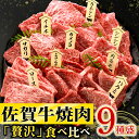 【ふるさと納税】 佐賀牛 焼肉 食べ比べ 9種盛 - ロース