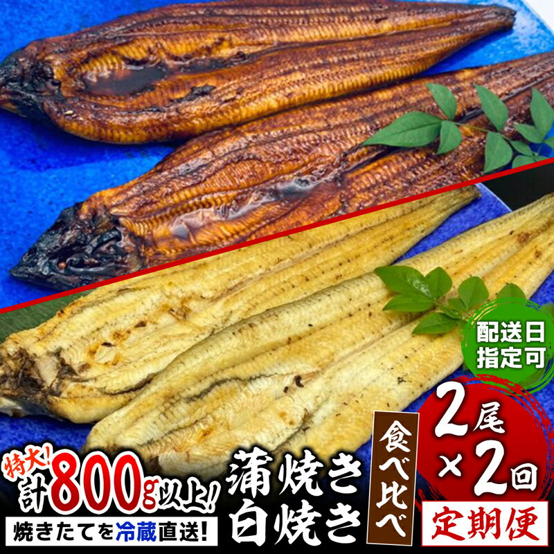 【ふるさと納税】【到着日指定可能】九州産うなぎ白焼き2尾・蒲焼き2尾の2回定期便【冷蔵直送】YS0010