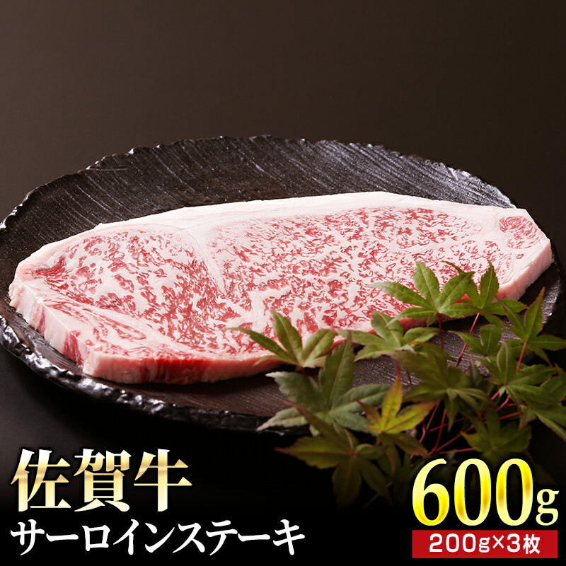 宅配便送料無料 佐賀牛黄金比本生ハンバーグと肥前さくらポーク 有明鶏2種セット HG0006 fucoa.cl 宅配便送料無料 佐賀牛黄金比本生ハンバーグと肥前さくらポーク 有明鶏2種セット HG0006 fucoa.cl