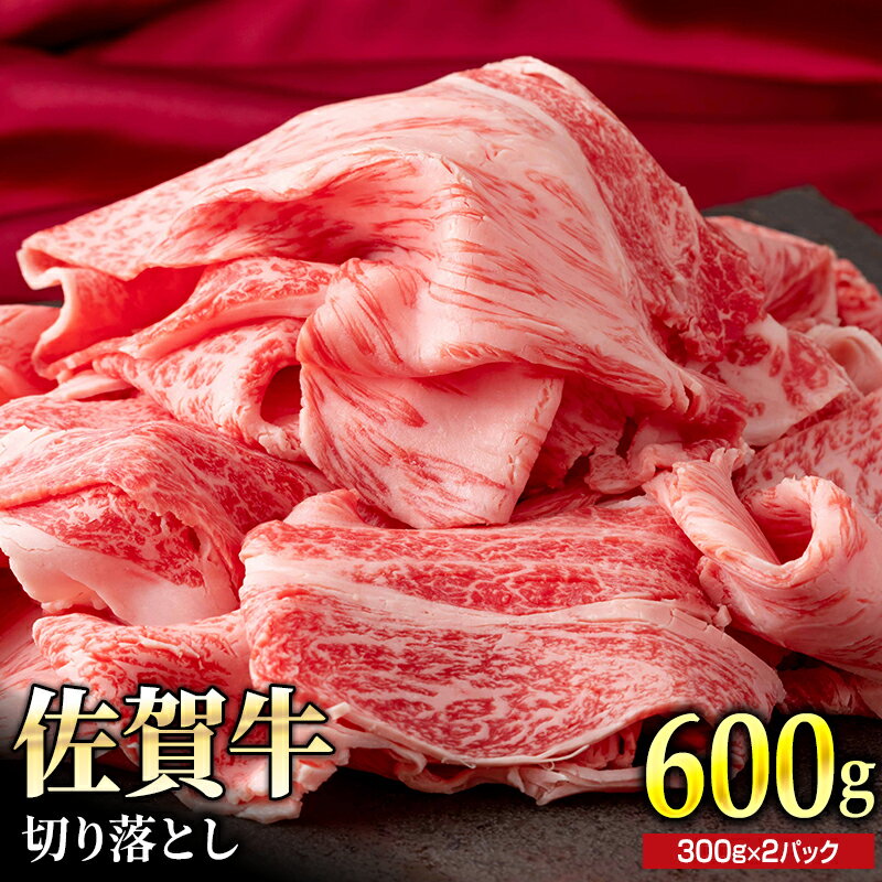 【ふるさと納税】佐賀牛切落し600g(300g×2パック)NK1035｜切り落とし すき焼き 牛丼 肉じゃが 牛カレー 炒め物