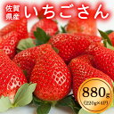 【ふるさと納税】佐賀県産いちごさん880g(220g×4パック) KI1002※北海道・沖縄・離島への配送不可