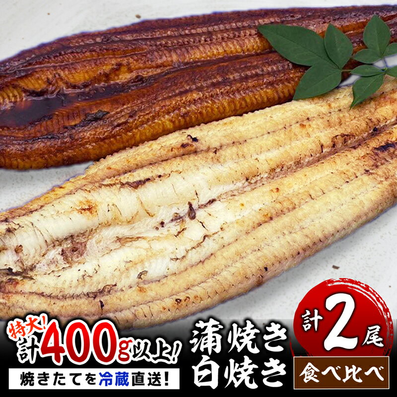 【ふるさと納税】計400g以上!!九州産うなぎ 蒲焼き×白焼き食べ比べセット【冷蔵直送】YS1012