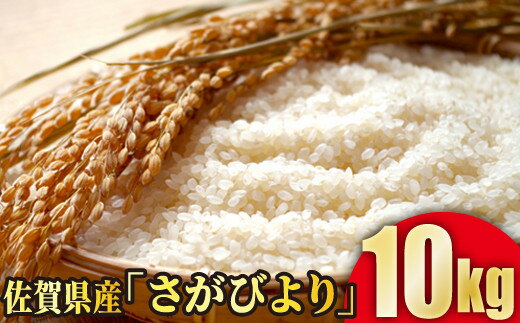 【ふるさと納税】[令和5年産] 佐賀県産 さがびより10kg(5kg×2袋)