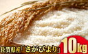 人気ランキング第55位「佐賀県大町町」口コミ数「0件」評価「0」[令和5年産] 佐賀県産 さがびより10kg(5kg×2袋)