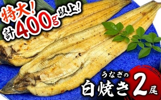 【ふるさと納税】うなぎ白焼き 400g (200g×2尾) 