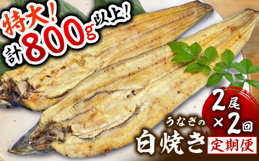 名称うなぎの白焼き 内容量【下記2回発送】うなぎ白焼き200g×2尾白焼きのタレ50ml×2本 産地九州 事業者山下鮮魚店 配送方法冷蔵配送 消費期限発送日から冷蔵で(夏季)5日程度(冬季)7日程度 備考※画像はイメージです。 ・ふるさと納税よくある質問はこちら ・寄附申込みのキャンセル、返礼品の変更・返品はできません。あらかじめご了承ください。【ふるさと納税】＜定期便・全2回＞ うなぎ白焼き 計800g (200g×2尾×2回) 特選 肉厚 寄附金の用途について 1．子育て支援に関する事業 2．教育に関する事業 3．まちづくりに関する事業 4．福祉に関する事業 5．町長おまかせ 受領証明書及びワンストップ特例申請書のお届けについて 入金確認後、注文内容確認画面の【注文者情報】に記載の住所にお送りいたします。発送の時期は、入金確認後1〜2週間程度を目途に、お礼の特産品とは別にお送りいたします。