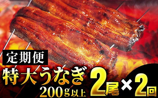 【ふるさと納税】＜定期便・全2回＞ うなぎ蒲焼き 計800g (200g×2尾×2回) 特選 肉厚