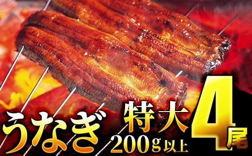 【ふるさと納税】なんと一尾200g以上を4尾 特選 肉厚 特選うなぎ