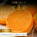 【ふるさと納税】<先行予約/選べる容量> みかんの「大トロ」佐賀産かんきつ・せとか 約1.5kg(4-8玉) or 約3kg(7-12玉) / ふるさと納税 佐...