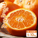 【ふるさと納税】<先行予約・選べる内容量> <10月以降順次発送>柑橘の名産地 佐賀産さがみかん約5kg箱 or 約10kg箱 /ふるさと納税 佐賀 みかん オ...