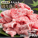 【ふるさと納税】<選べる容量>佐賀牛切り落とし (380g/540g) / 佐賀牛 切落し ブランド牛 A5ランク相当 牛肉 小分け