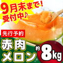 【ふるさと納税】ZP101R 【訳あり】赤肉メロン 約8kg...