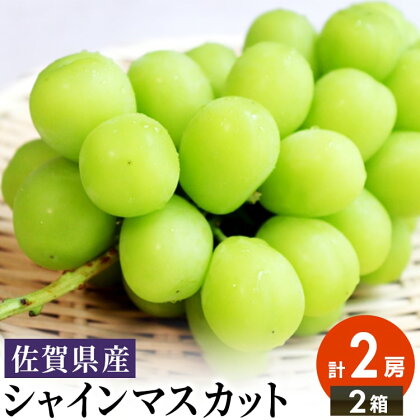 佐賀県産シャインマスカット 2房(1〜1.2kg)×2箱