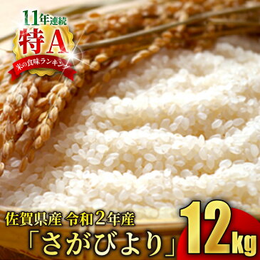 【ふるさと納税】AF211021R 【令和2年産】佐賀県産さがびより 12kg