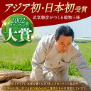 佐賀県江北町の画像2