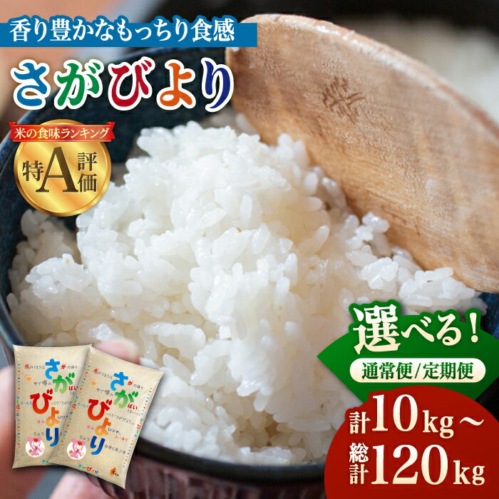 【ふるさと納税】令和5年産 さがびより 白米 10kg ( 5kg×2袋 ) ＜単品・定期便＞【株式会社 JA食糧さが】 [HCM001]