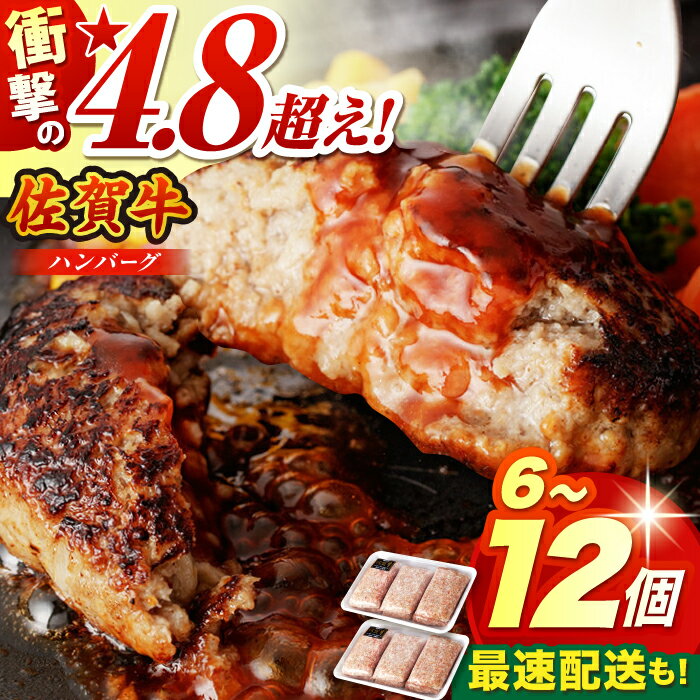 【ふるさと納税】【発送時期・容量が選べる】老舗 佐賀牛 ハンバーグ 12個 or 6個【肉のかわの】 [HAS...