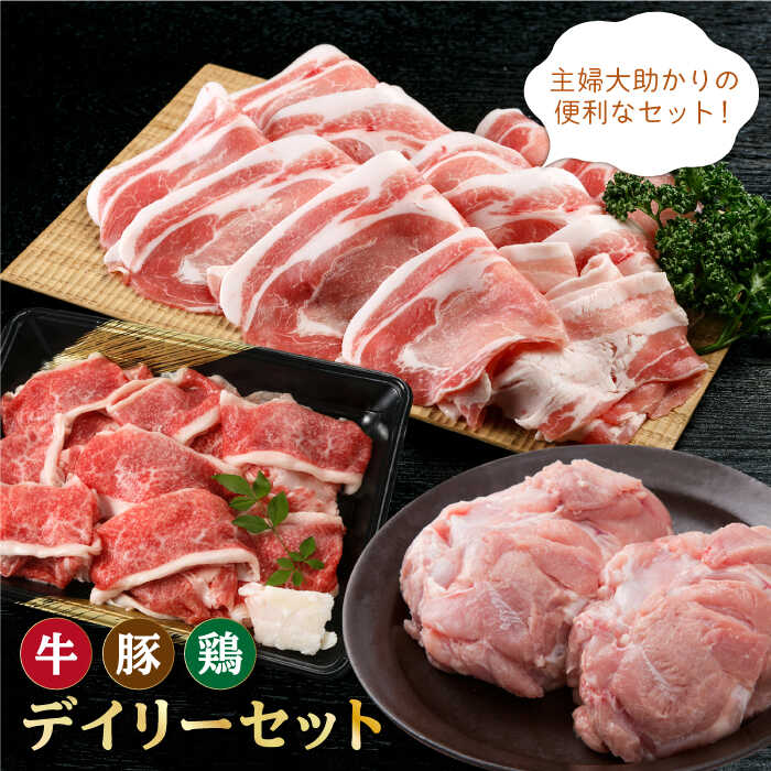 三栄のデイリーセット[牛 豚 鶏] [肉の三栄] 