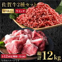 27位! 口コミ数「0件」評価「0」【全12回定期便】佐賀牛 ミンチ ＆ 切り落とし 1kg ( 500g 2種 ) 【肉の三栄】 [HAA086]