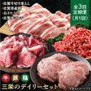 15位! 口コミ数「0件」評価「0」【全3回定期便】ミンチ付き！三栄のデイリーセット 【肉の三栄】 [HAA092]