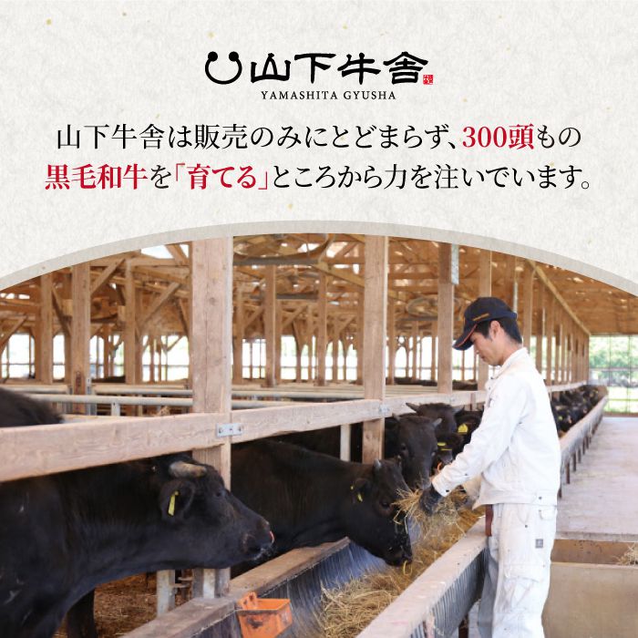 【ふるさと納税】佐賀牛 A5 ロース 焼肉用 800g ( 400g 2パック ) 【山下牛舎】 [HAD051] 3