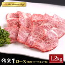 【ふるさと納税】佐賀牛 A5 ロース 焼肉用 1.2kg ( 400g 3パック ) 【山下牛舎】 [HAD052]