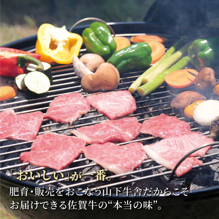 【ふるさと納税】佐賀牛 A5 カルビ 焼肉用 1.2kg ( 400g 3パック ) 【山下牛舎】 [HAD055]