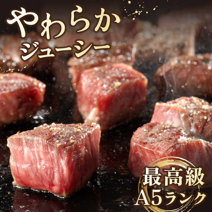 【ふるさと納税】【全12回定期便】佐賀牛 A5 ヒレ サイコロステーキ 500g ( 250g 2パック ) 【山下牛舎】 [HAD074]