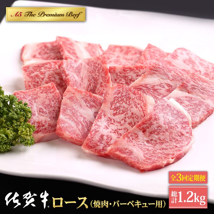 [全3回定期便]佐賀牛 A5 ロース 400g ( 焼肉用 ) [山下牛舎] 